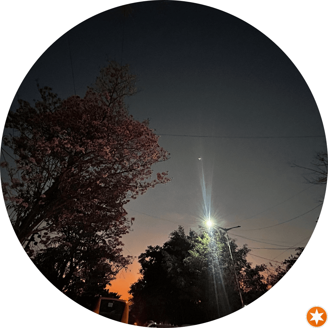 OLD LEAF BOOKS